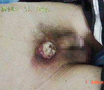 新宝GG—创立事业平台