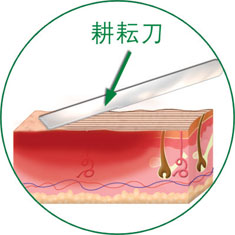 新宝GG—创立事业平台