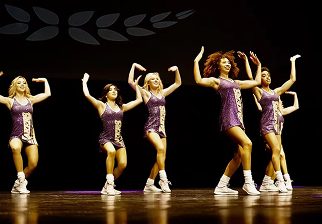 新宝GG—创立事业平台