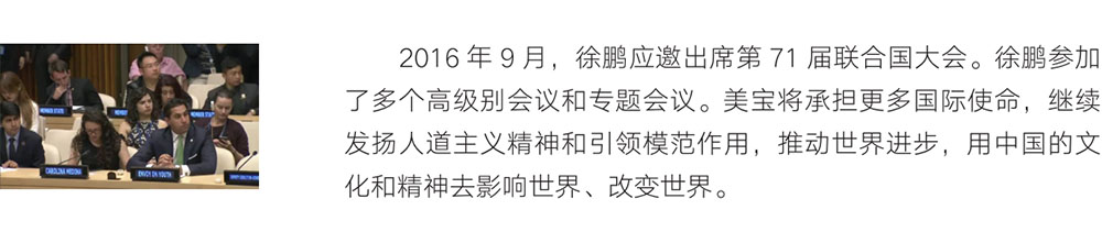 新宝GG—创立事业平台