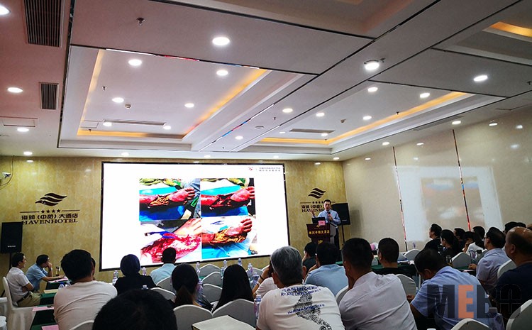 新宝GG—创立事业平台