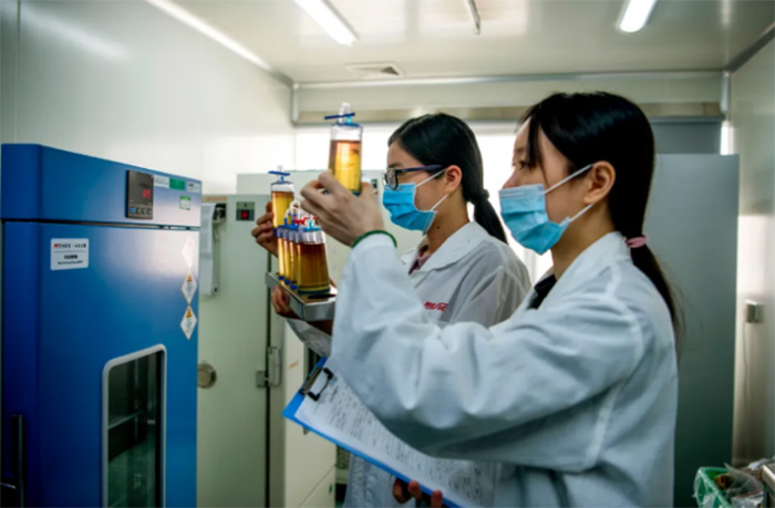 新宝GG—创立事业平台