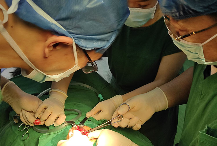 新宝GG—创立事业平台