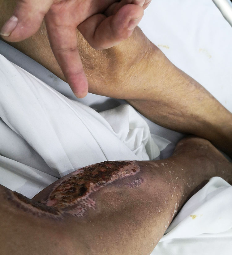 新宝GG—创立事业平台