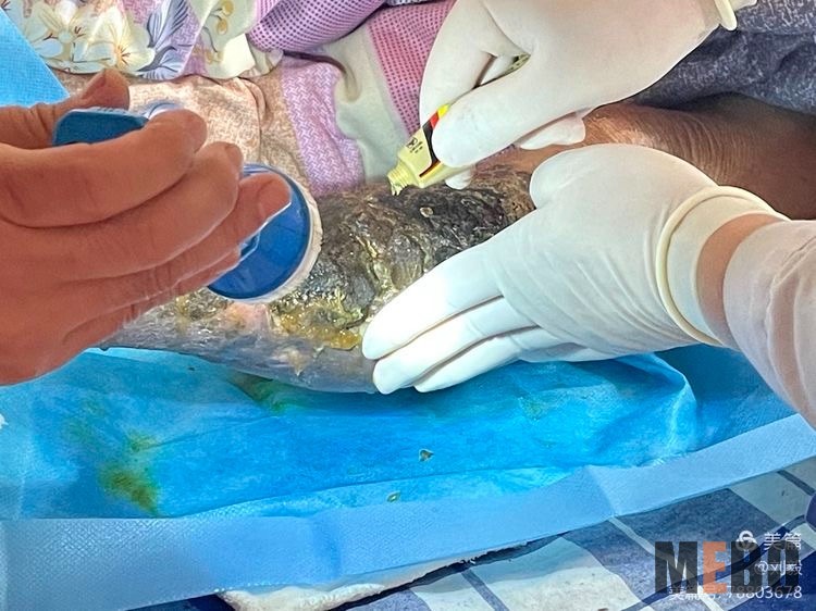 新宝GG—创立事业平台