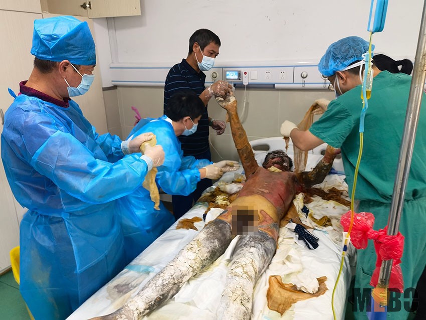 新宝GG—创立事业平台