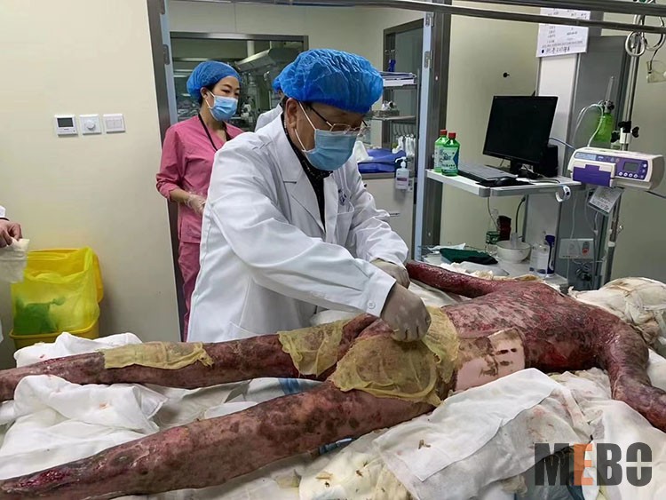 新宝GG—创立事业平台