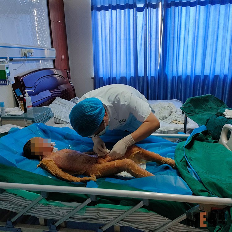 新宝GG—创立事业平台