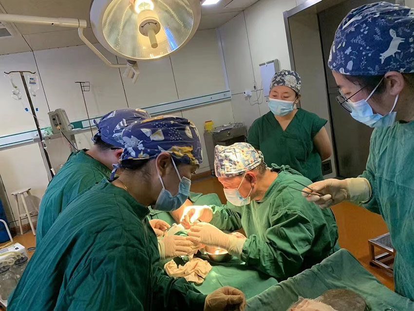 新宝GG—创立事业平台