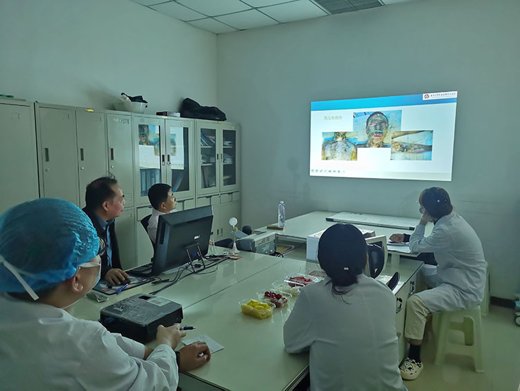 新宝GG—创立事业平台