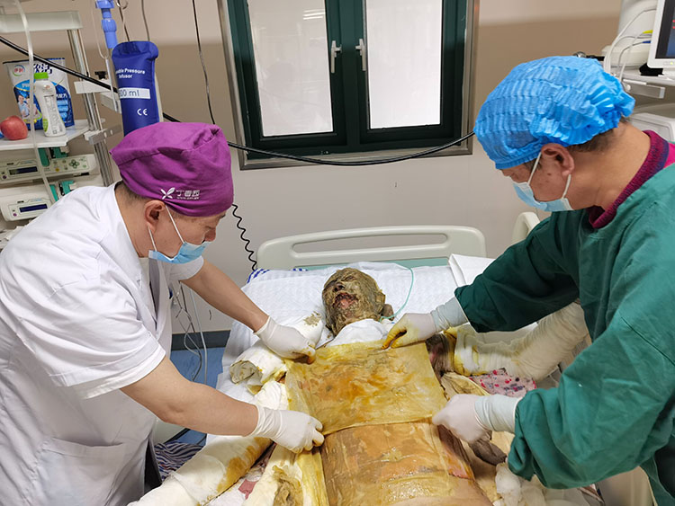 新宝GG—创立事业平台