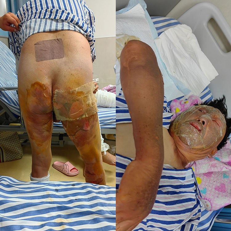 新宝GG—创立事业平台