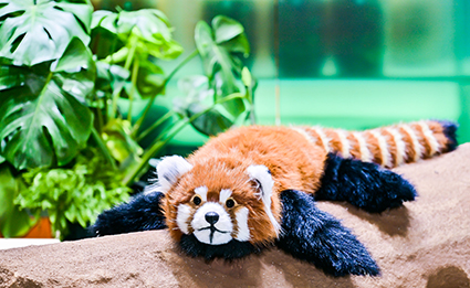 新宝GG—创立事业平台