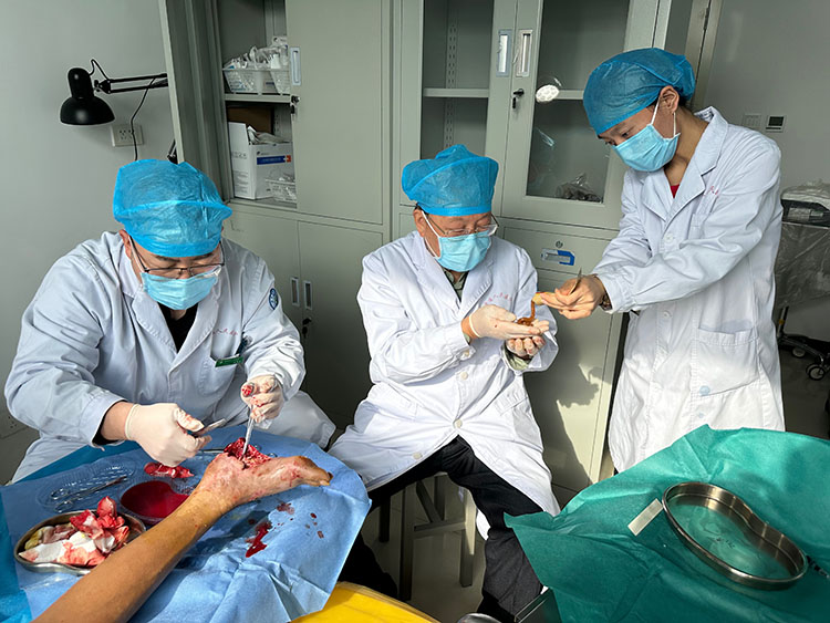 新宝GG—创立事业平台