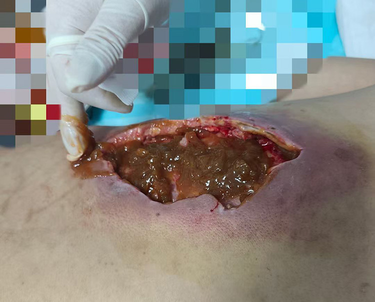 新宝GG—创立事业平台