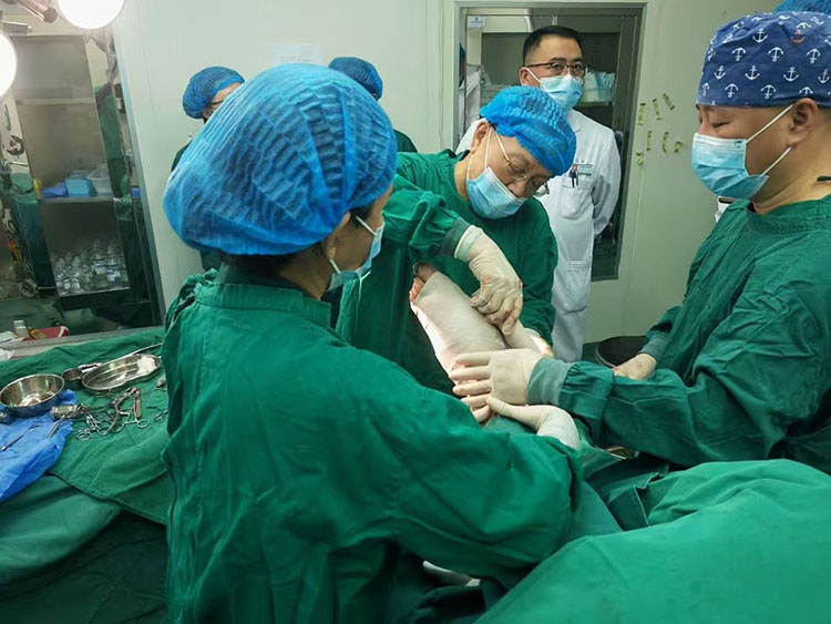 新宝GG—创立事业平台