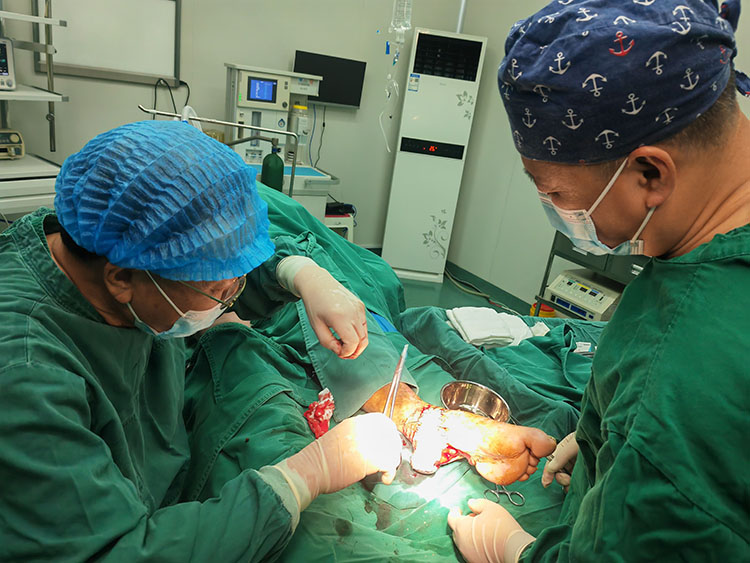 新宝GG—创立事业平台