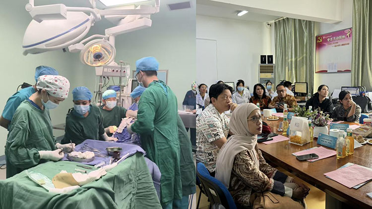 新宝GG—创立事业平台