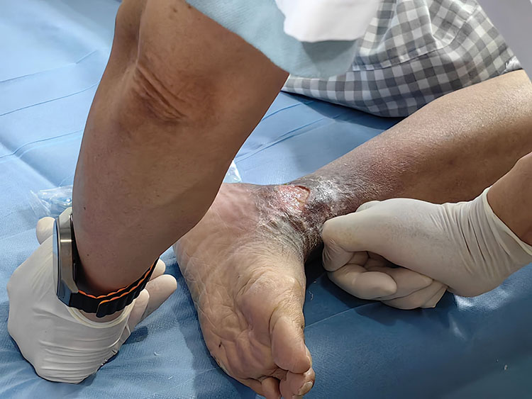 新宝GG—创立事业平台