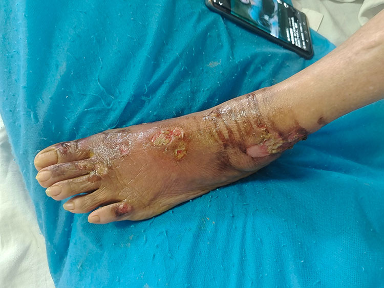 新宝GG—创立事业平台