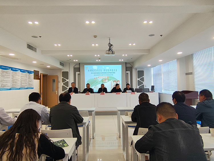 新宝GG—创立事业平台