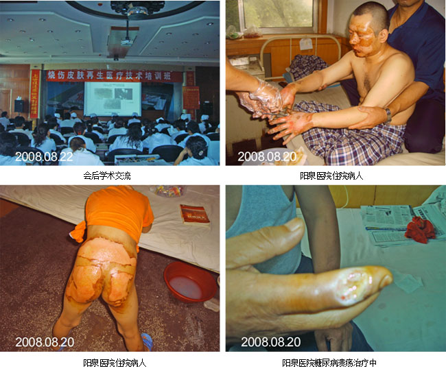 新宝GG—创立事业平台