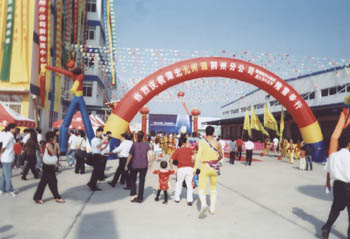 新宝GG—创立事业平台