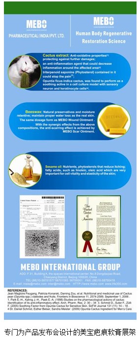 新宝GG—创立事业平台