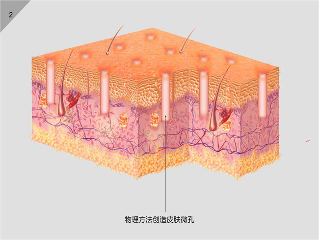新宝GG—创立事业平台