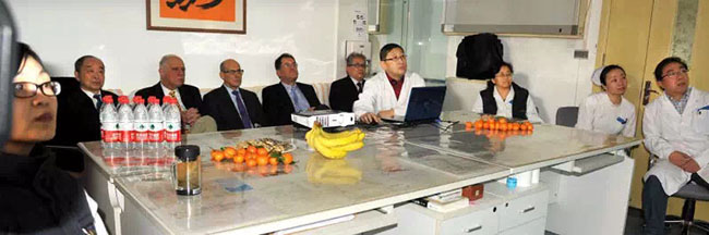 新宝GG—创立事业平台