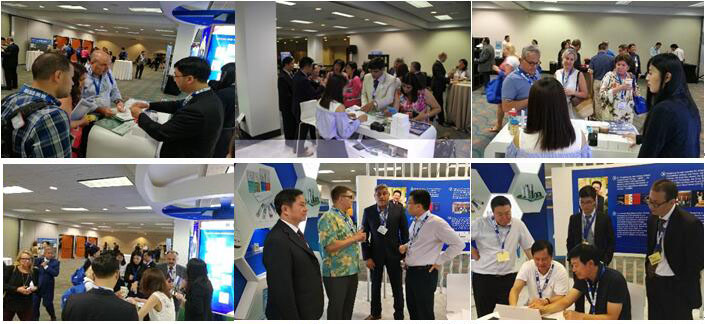 新宝GG—创立事业平台