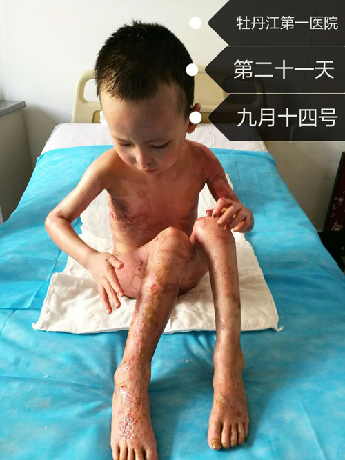 新宝GG—创立事业平台